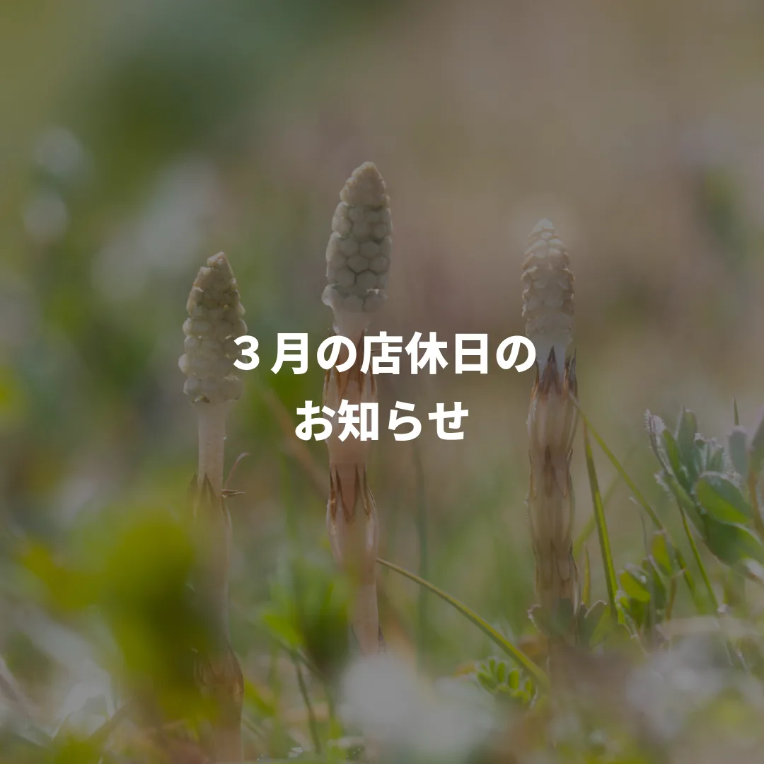 3月の店休日のお知らせ